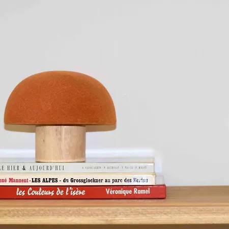 Le Grenoblois - Hypercentre *