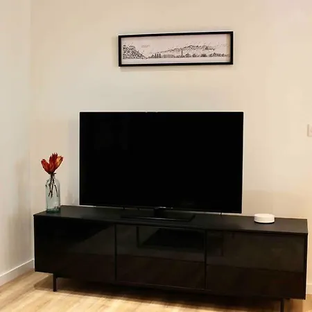 Le Grenoblois - Hypercentre *