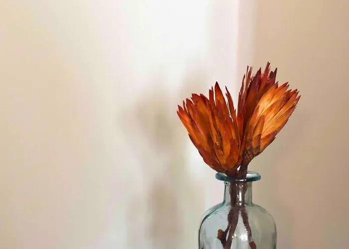 Le Grenoblois - Hypercentre Апартаменти