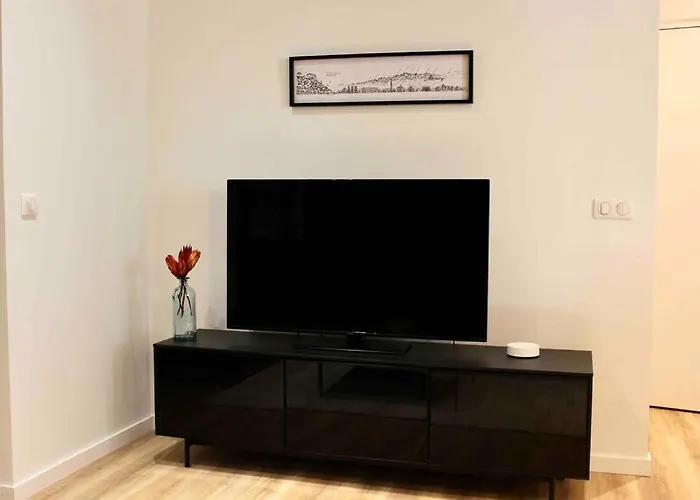 Le Grenoblois - Hypercentre *